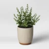 Textured Ceramic Planter Pots White - Opalhouse™ 1 Textured Ceramic Planter Pots White - Opalhouse™ -Opalhouse GUEST 81b3ab19 db4f 409c 9397 ff90f528d623